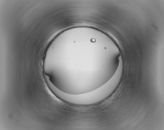 X0000111021476200907171845