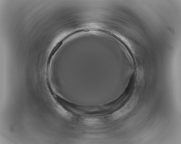 X0000111021477200907171845