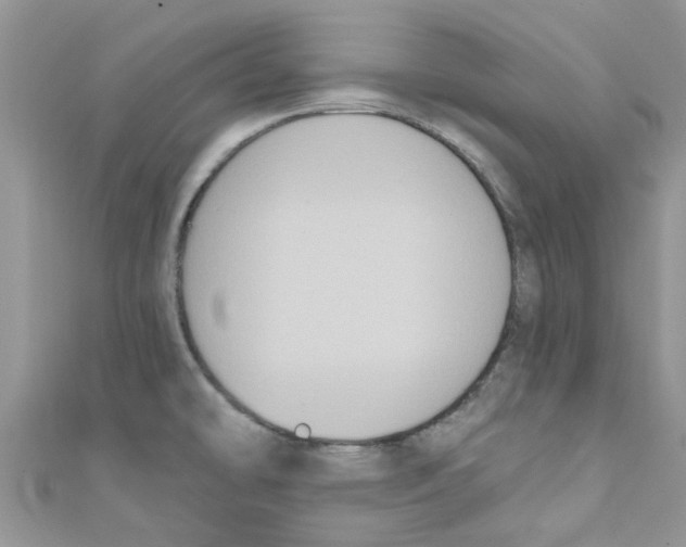 X0000111021478200907171845