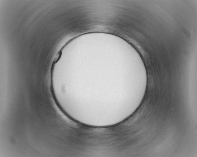 X0000111021479200907171845