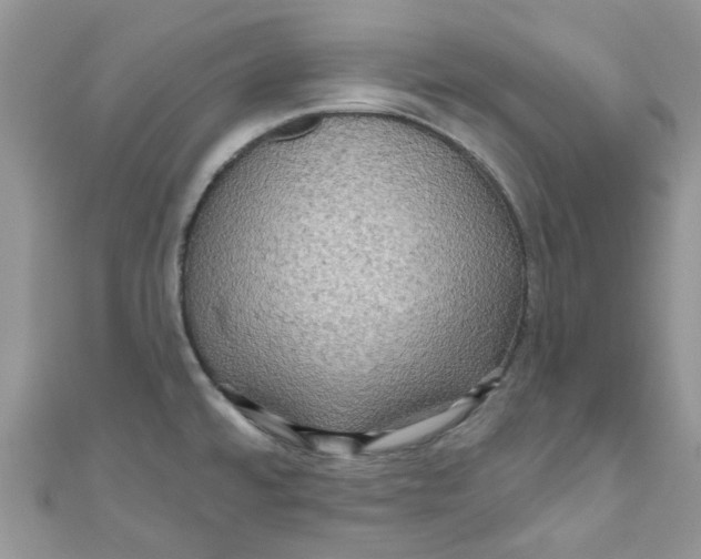 X0000111021480200907171845