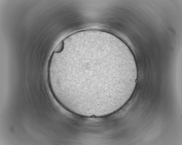 X0000111021483200907171845