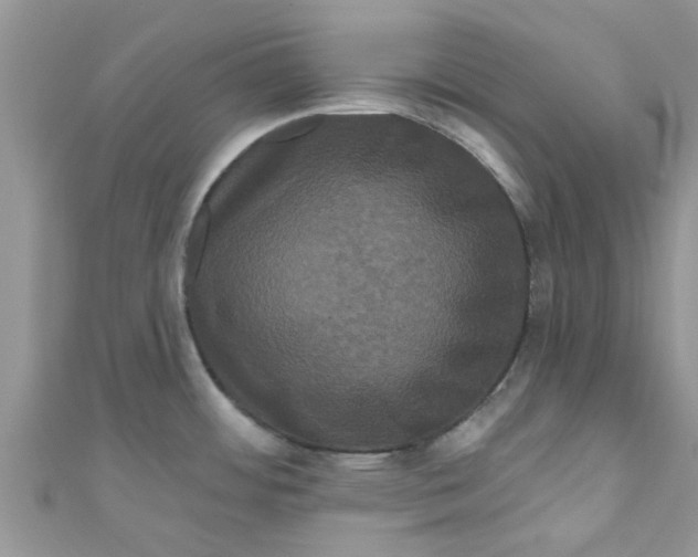 X0000111021484200907171845