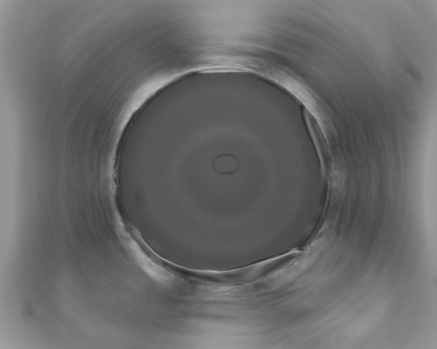 X0000111021485200907171845