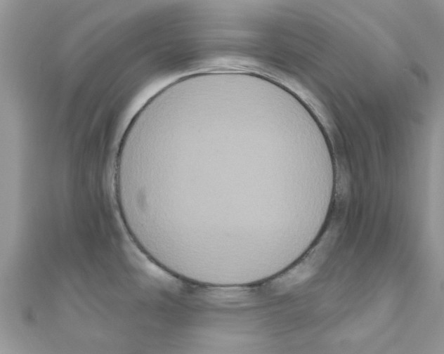 X0000111021486200907171845