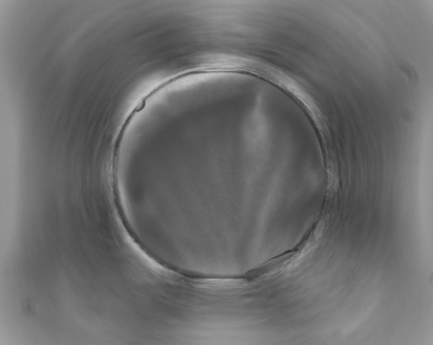 X0000111021487200907171845