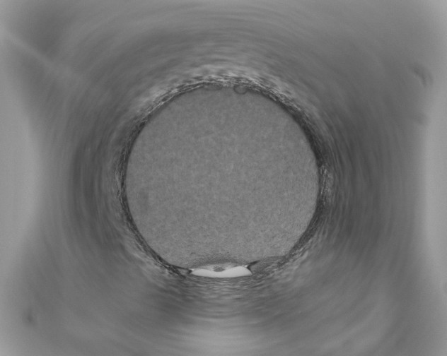 X0000111021489200907171844