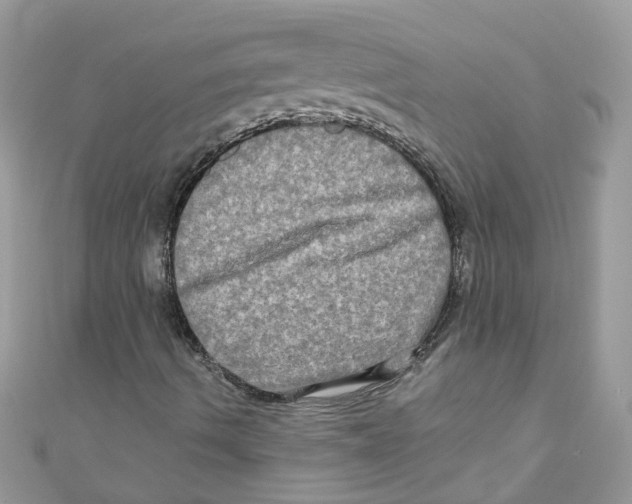 X0000111021490200907171844