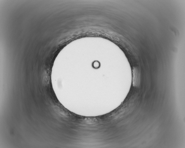 X0000111021491200907171844
