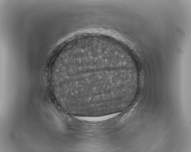 X0000111021494200907171844