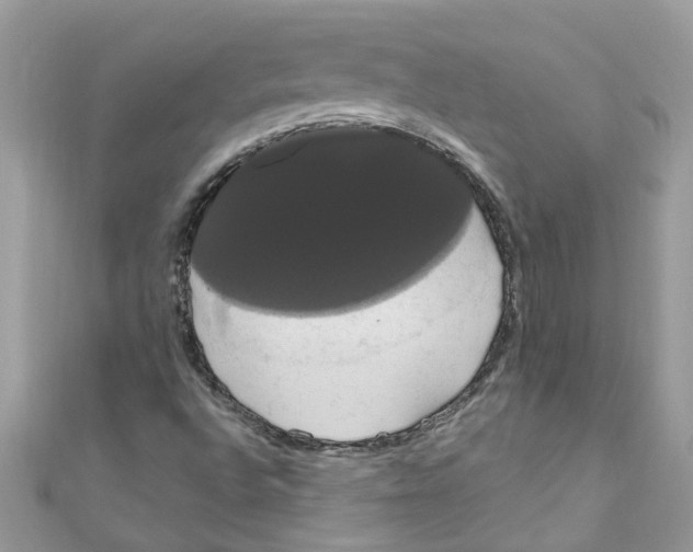 X0000111021496200907171844