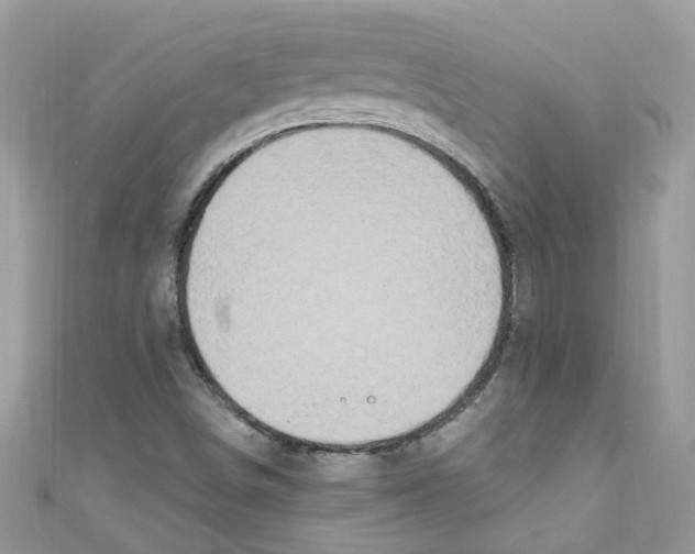 X0000111021498200907171844