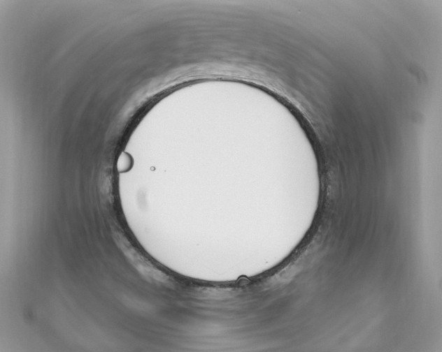 X0000111021499200907171844