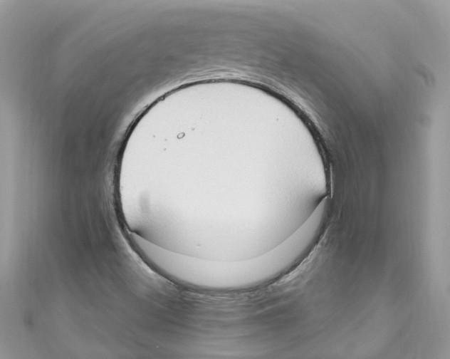 X0000111021500200907171844
