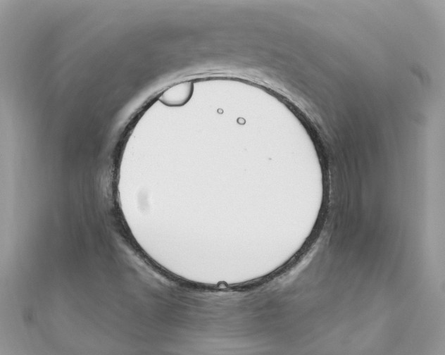 X0000111021502200907171844