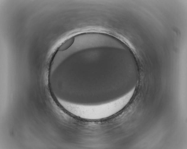 X0000111021504200907171844