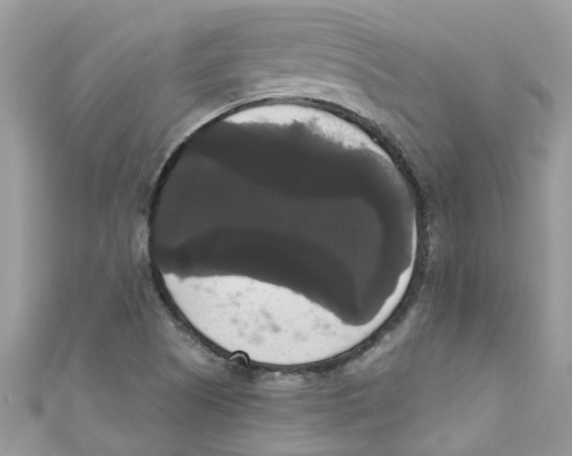 X0000111021505200907171844