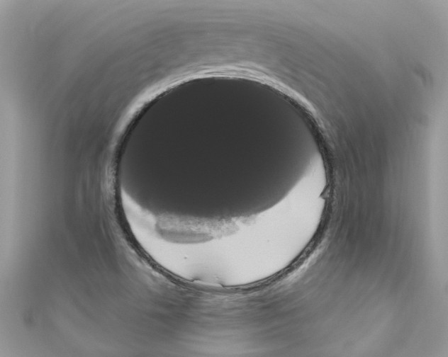 X0000111021506200907171844