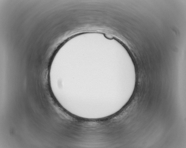 X0000111021507200907171844