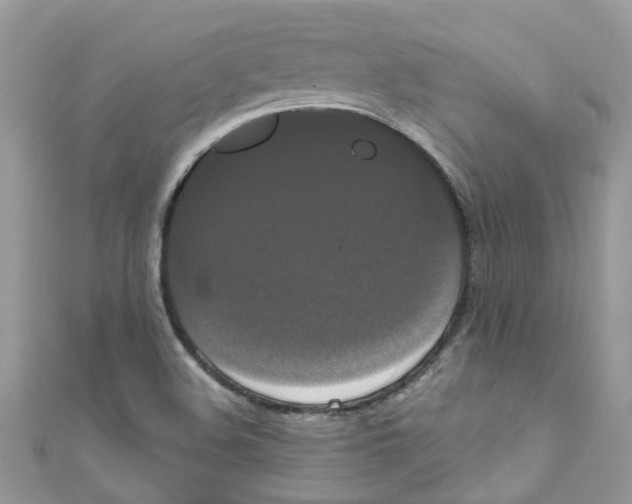X0000111021508200907171844