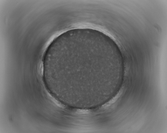 X0000111021509200907171844