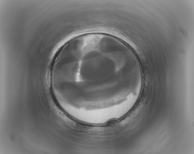 X0000111021510200907171844