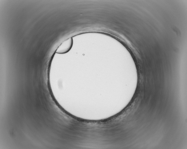 X0000111021512200907171844