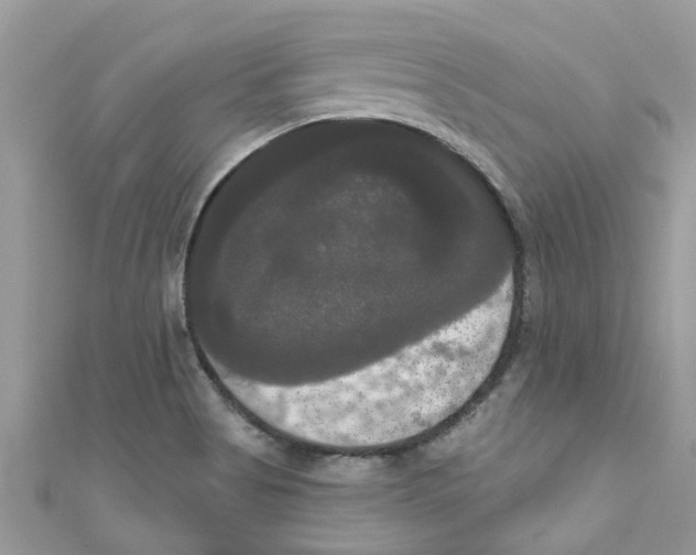 X0000111021513200907171844