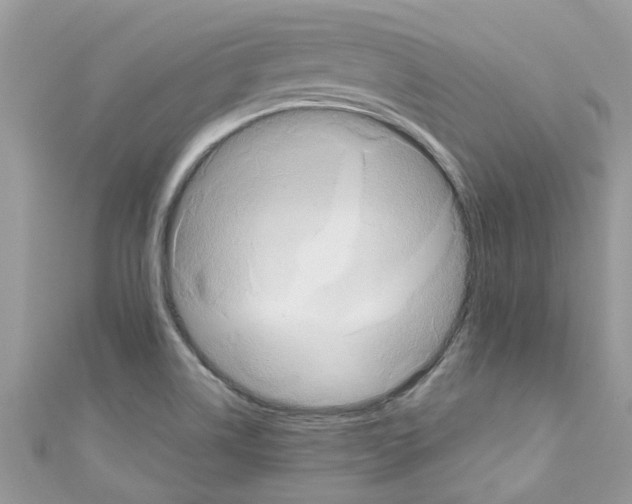 X0000111021514200907171844