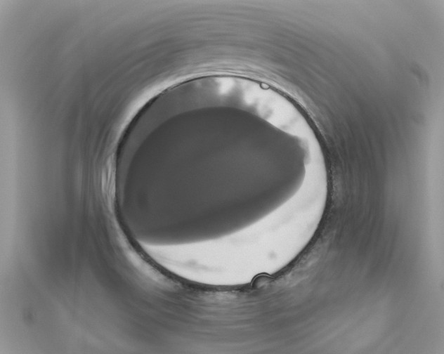 X0000111021515200907171844