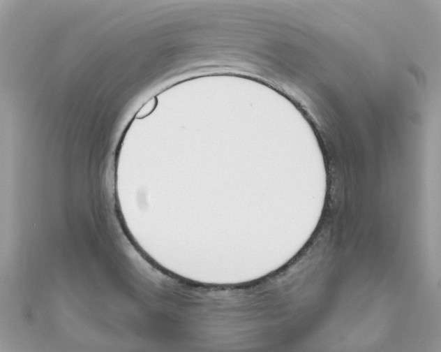 X0000111021516200907171844