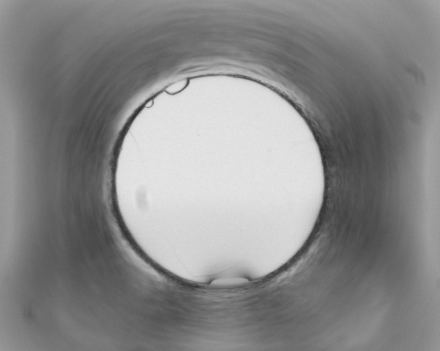 X0000111021518200907171844