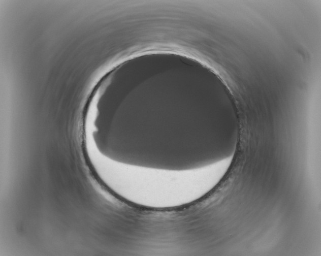 X0000111021519200907171844