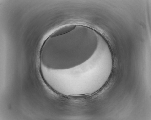 X0000111021520200907171844
