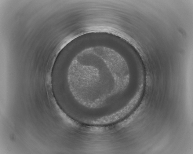 X0000111021521200907171844