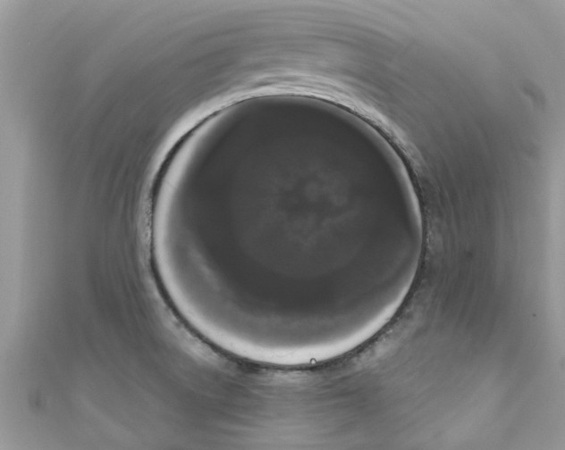 X0000111021522200907171844