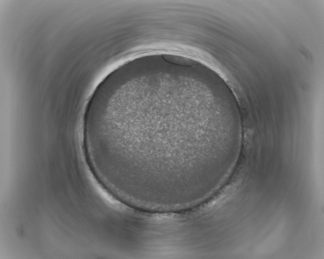 X0000111021523200907171844