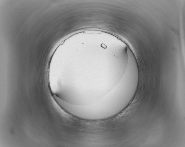 X0000111021524200907171844