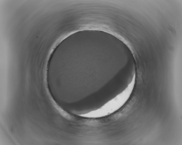 X0000111021525200907171844