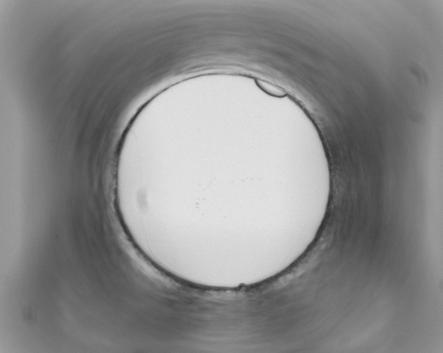 X0000111021526200907171844