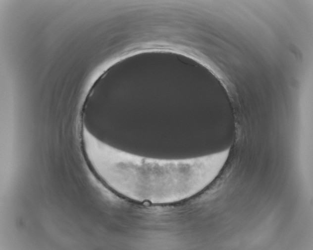 X0000111021527200907171844