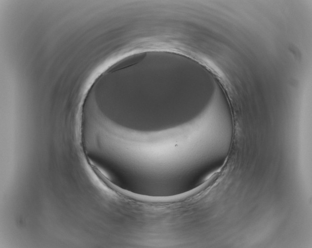 X0000111021528200907171844