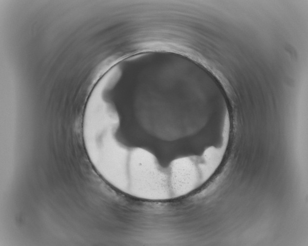 X0000111021529200907171845