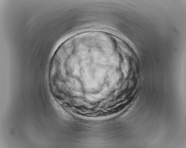 X0000111021530200907171845