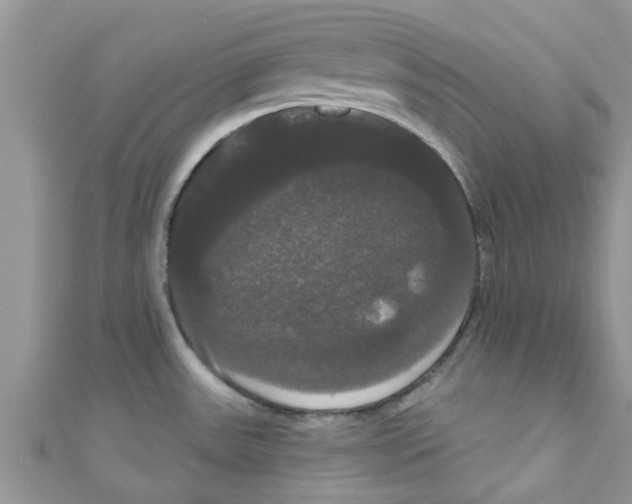 X0000111021531200907171845