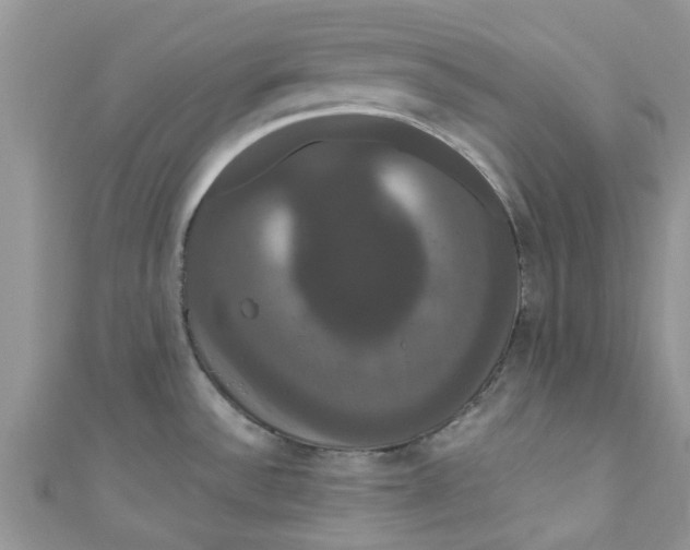 X0000111021532200907171845