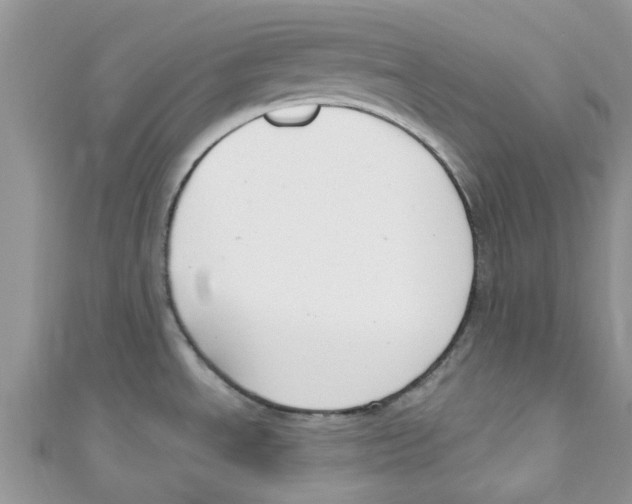 X0000111021534200907171845