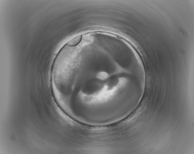 X0000111021535200907171845
