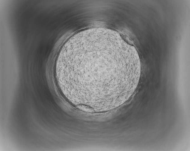 X0000111020001200907310941