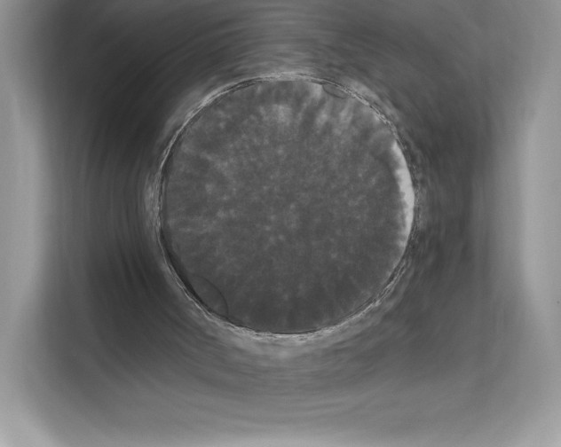 X0000111020002200907310941